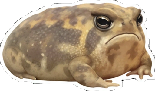 Стикер 2 🙂 из набора «Rain Frog»
