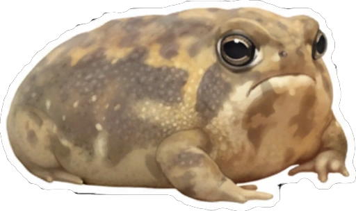 Стикер 8 🙂 из набора «Rain Frog»