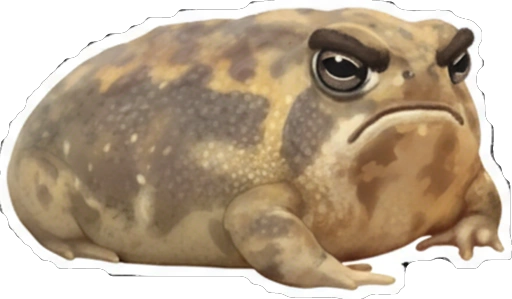 Стикер 28 🙂 из набора «Rain Frog»