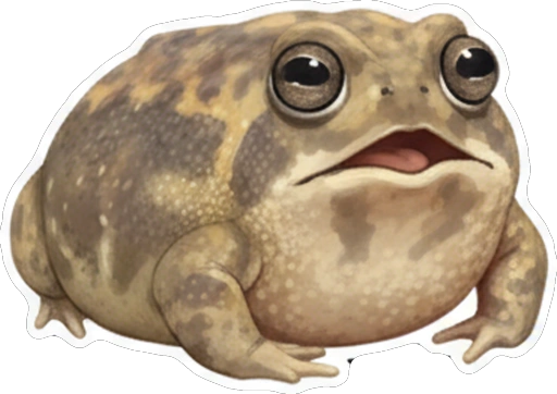 Стикер 54 🙂 из набора «Rain Frog»