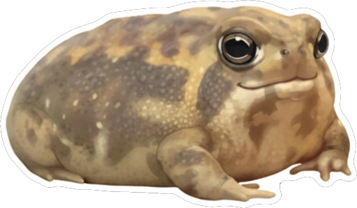 Стикер 63 🙂 из набора «Rain Frog»