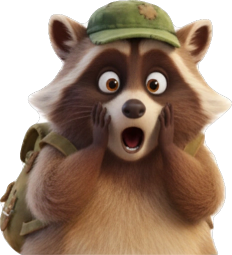 Енот Обормот: Сокровища и Юмор